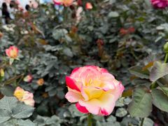 -人民公园(罗湖区)