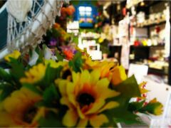 -桂林市花鸟市场