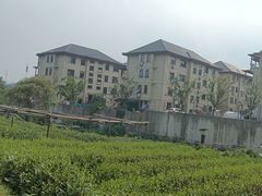 -龙坞茶村