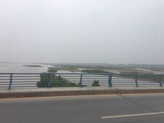 -杨记拉面总店