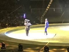 -灵玲国际马戏城