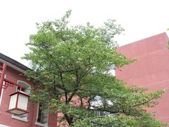 -浙江省杭州高级中学(贡院校区)