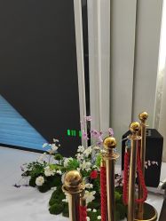 -广州美莱医疗美容医院