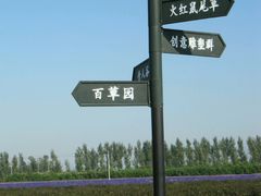 -北京东方普罗旺斯薰衣草庄园