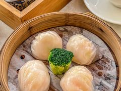 -南海渔村(珠江新城店)