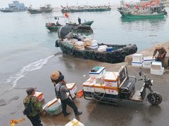 -硇洲岛旅游区