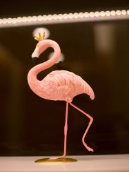 -北京和美妇儿医院