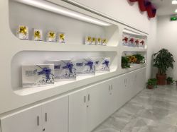 -莱可美科技美肤