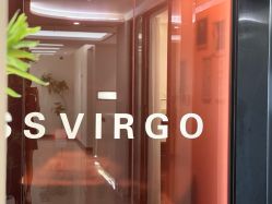 -处女座·MISS VIRGO·半永久纹眉野生眉