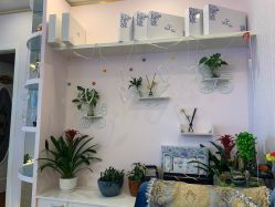 -时尚妈咪产后修复中心