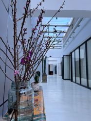 -无界瑜伽普拉提