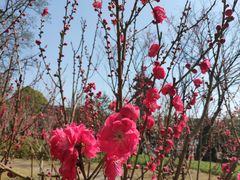 -上海市龙华烈士陵园