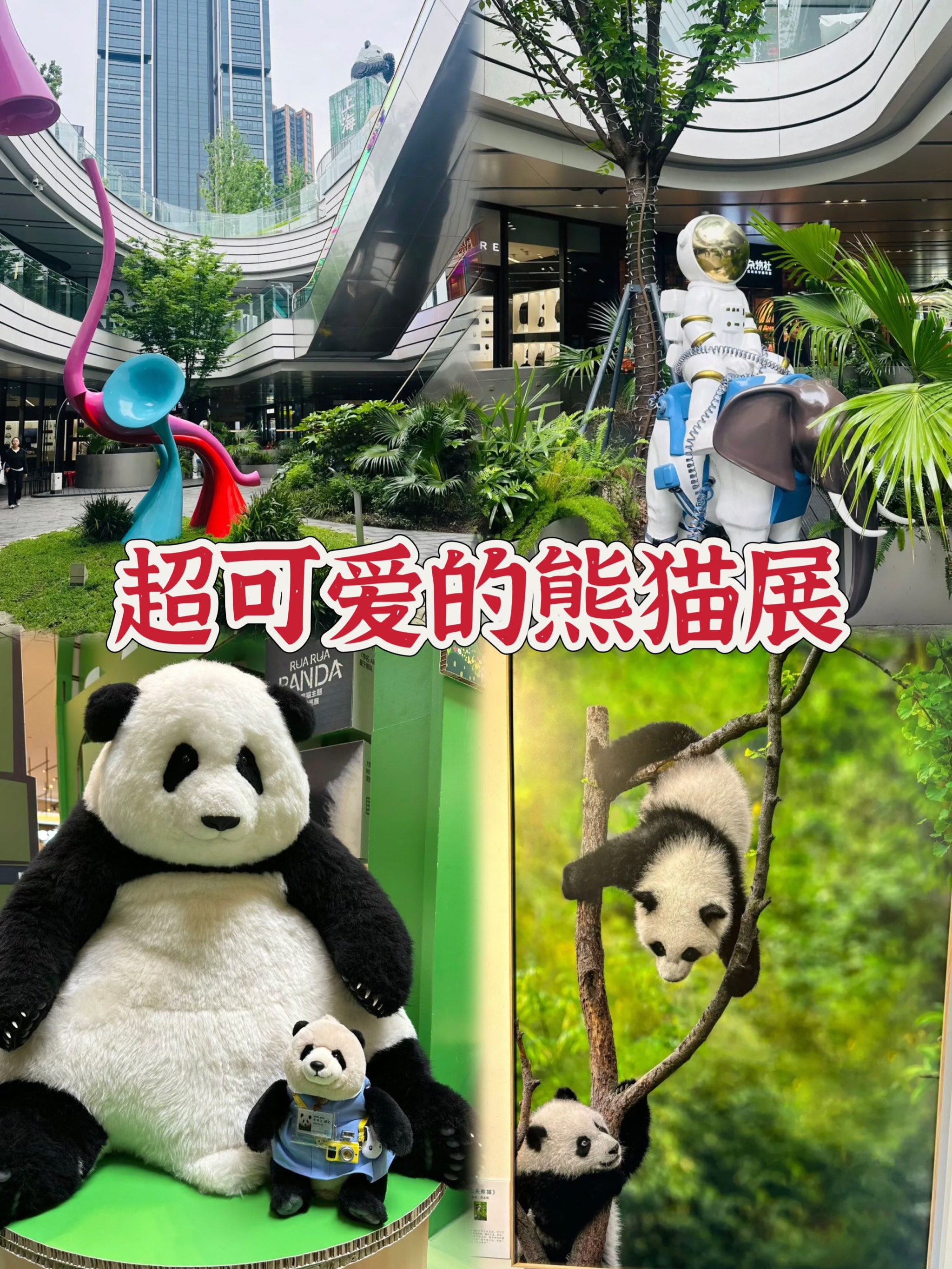 进入了熊猫的可爱世界,遛娃购物两不误