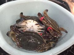 自助螃蟹-一号码头蒸汽海鲜自助