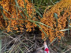 -白塘生态植物园