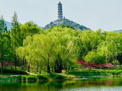 -北坞公园