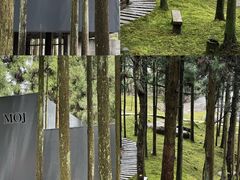 -玉苍山国家森林公园