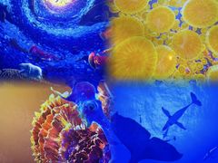 -海合安武汉极地海洋公园