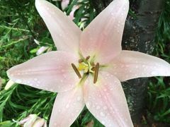 iphone_upload_pic-蠡湖中央公园