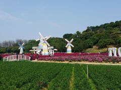 -松山湖梦幻百花洲