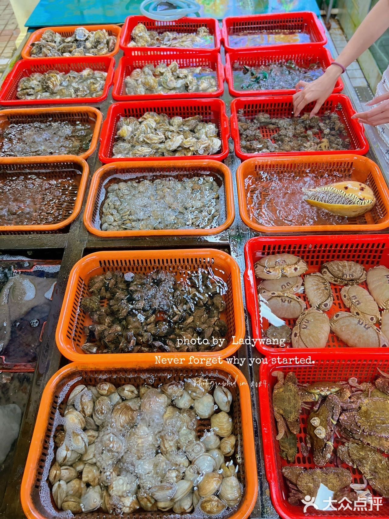 来南澳，这家海鲜排挡我吃了5678次‼️