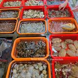 来南澳，这家海鲜排挡我吃了5678次‼️