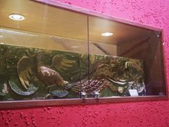 -食欲老院子荆芥疙瘩汤(经五路店)