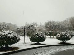 -南京医科大学(江宁校区)