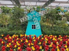 -南宫五洲植物乐园