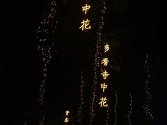 -大雁塔北广场音乐喷泉