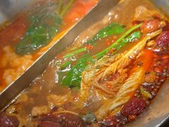 -湊湊火锅·茶憩(郑州绿地新都会店)