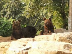 -北京野生动物园