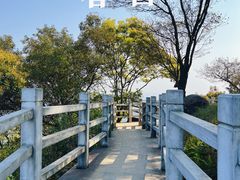 -广州市帽峰山景区