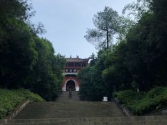 -铁山坪森林公园