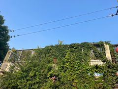 -小时光咖啡馆(北锣鼓巷店)