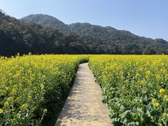 -广州市石门国家森林公园