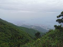 -梧桐山风景名胜区