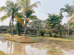-中国科学院西双版纳热带植物园
