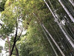 -汇龙潭