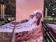 -谢列梅捷沃国际机场