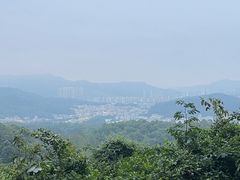 -火炉山森林公园