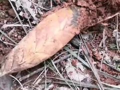 -灵山