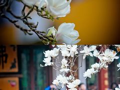 -杭州上天竺法喜讲寺