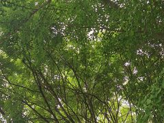 -广州长隆国际大马戏