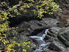 -芦芽山旅游度假区