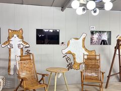 -豆逗聊愈猫阁Easy Life