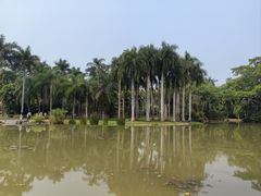 -中国科学院西双版纳热带植物园