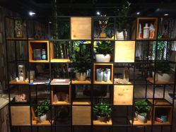 -藤野造型·专业烫染店
