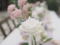 -悦哉·派对·草坪婚礼·围炉煮茶(三圣乡店)