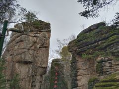-汤旺河林海奇石景区